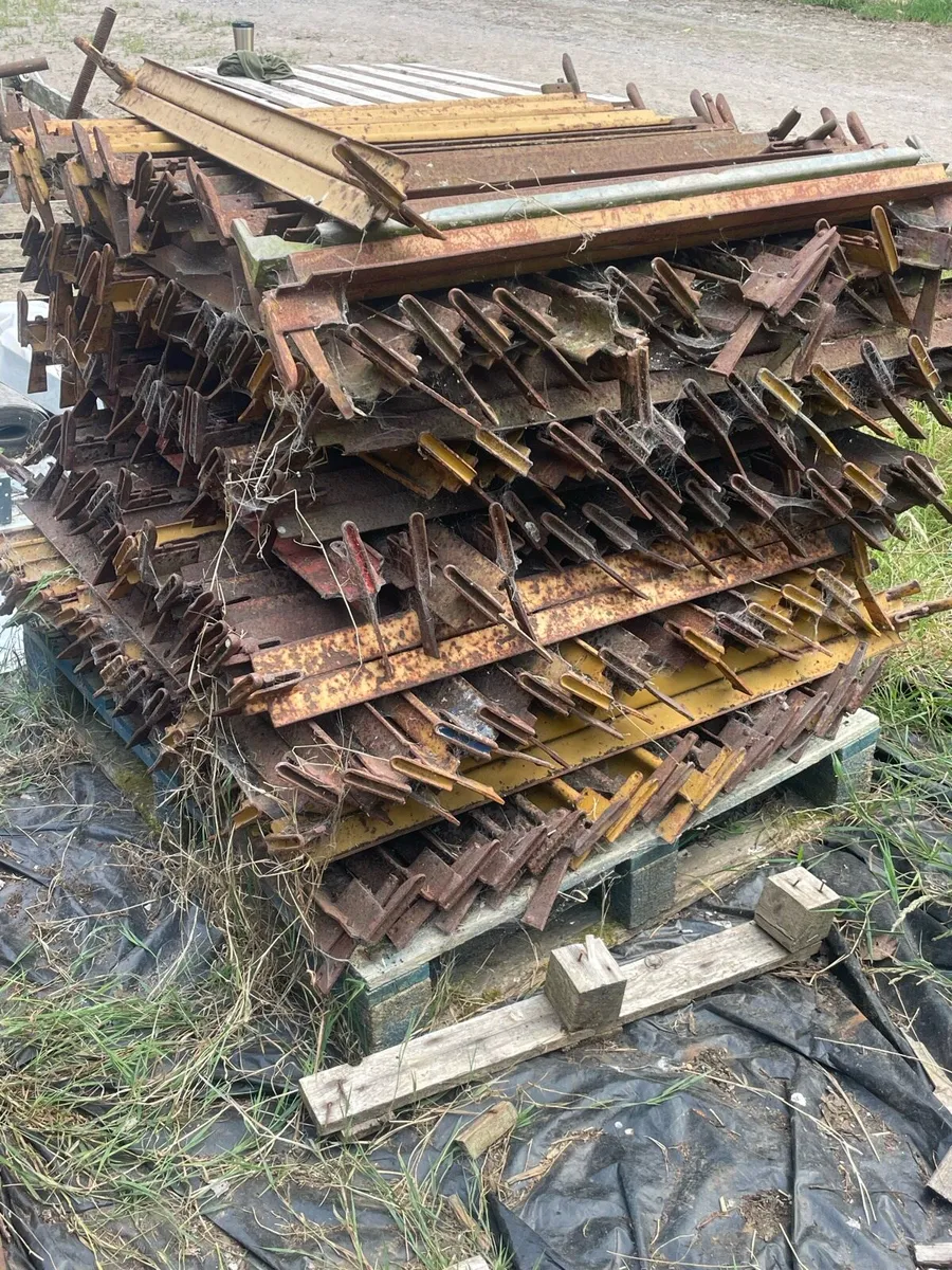 Scaffold - Image 3