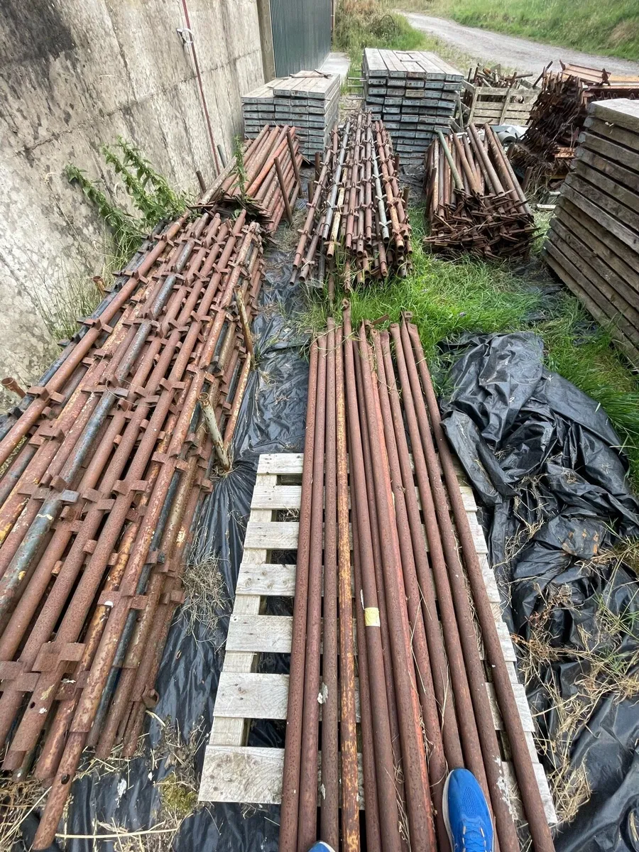 Scaffold - Image 4