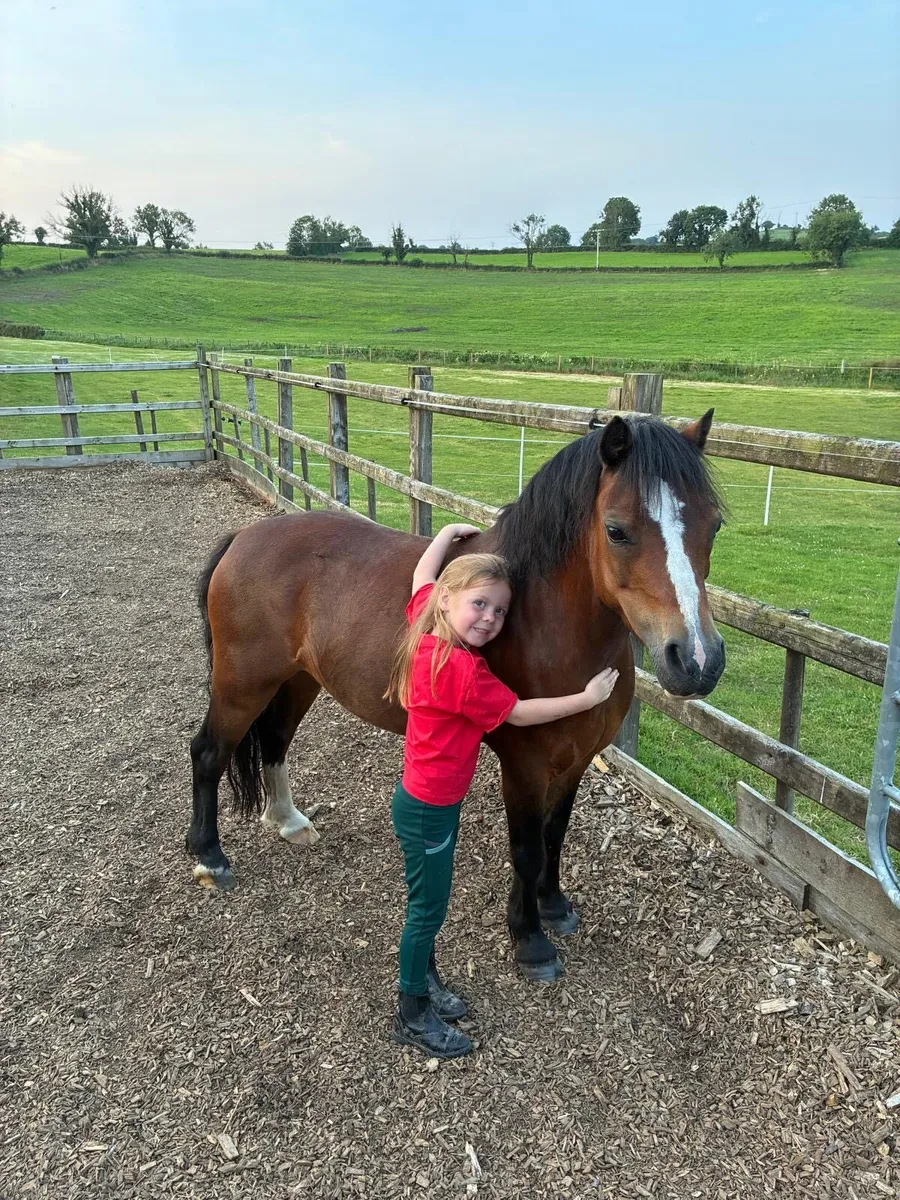Pony - Image 4