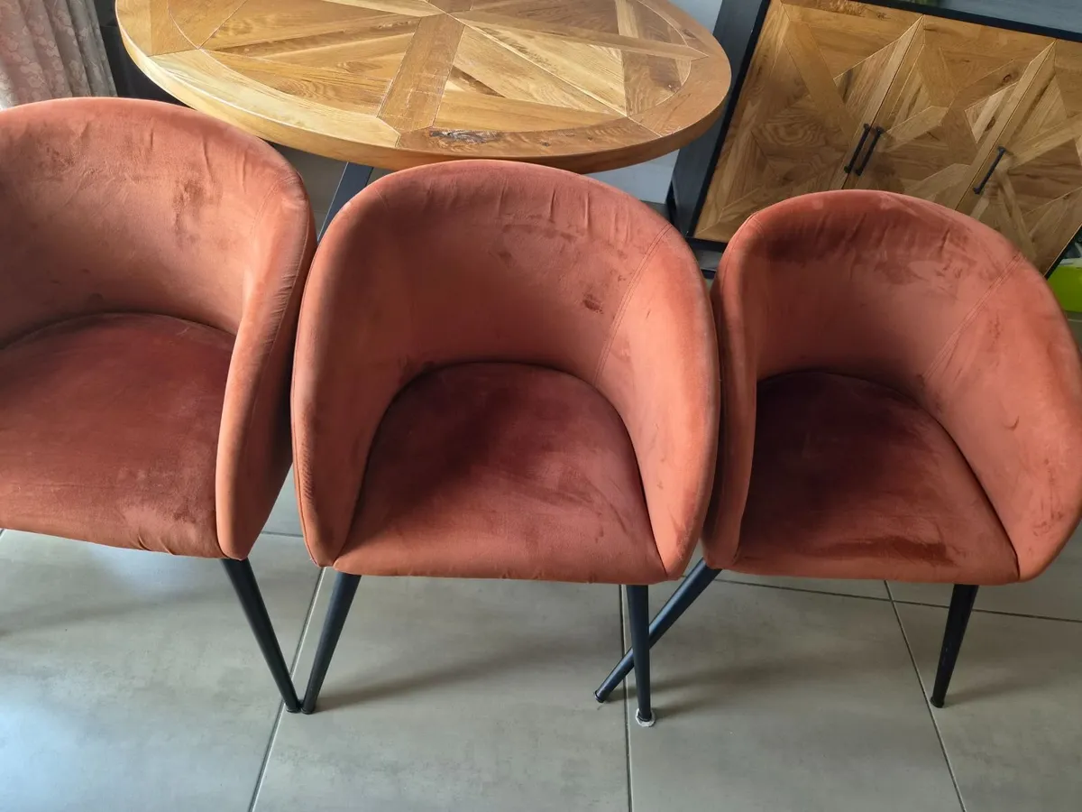 Velvet Dining chairs - Image 4