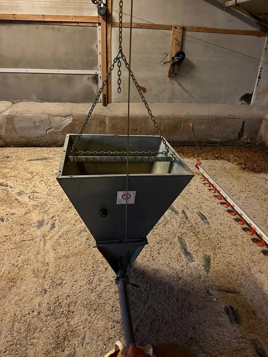 Bird House Equipment - Image 3