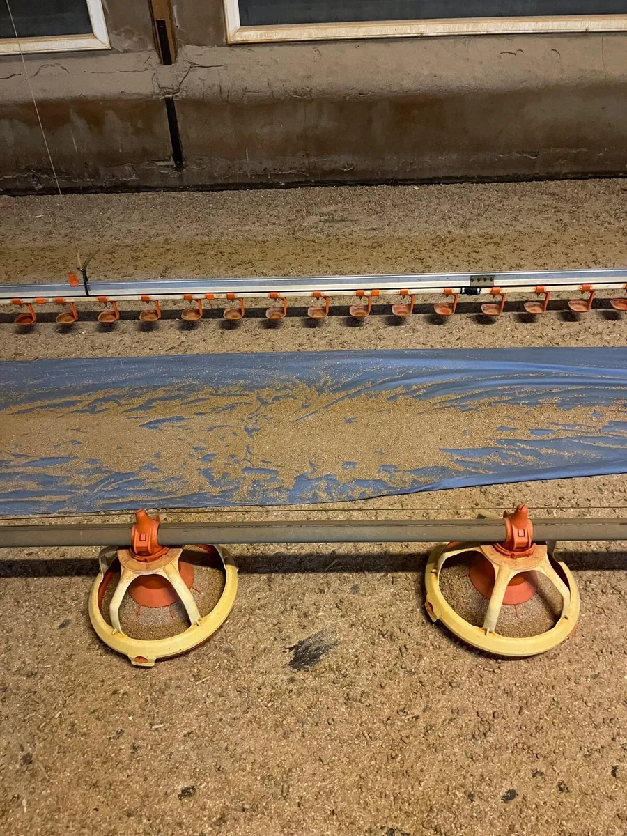 Bird House Equipment - Image 2