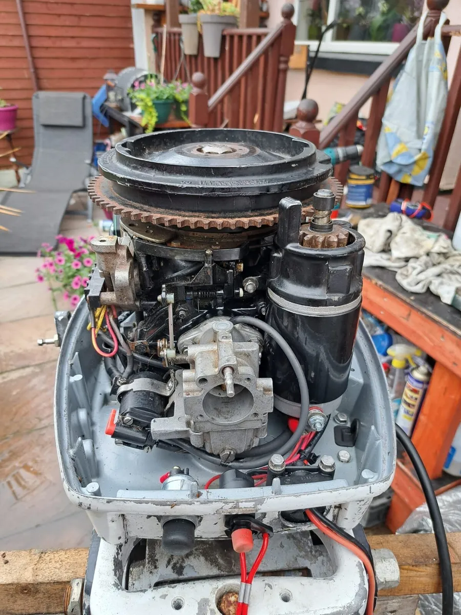Evinrude Johnson 25hp outboard - Image 2