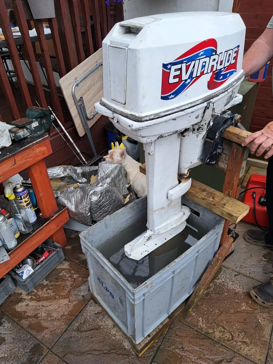 Evinrude Johnson 25hp outboard - Image 1