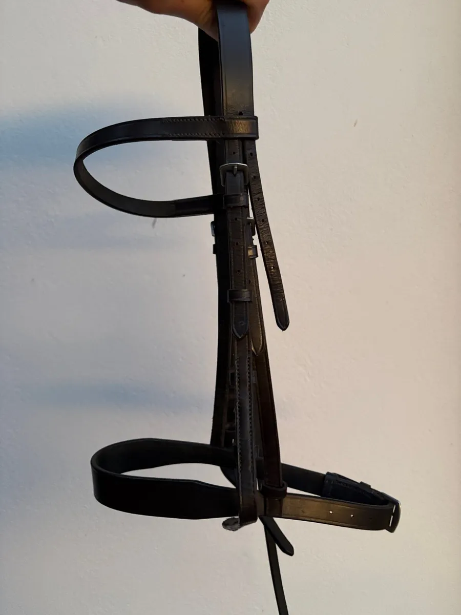 Pony Bridle, Pony Rug 4’ 6’’, - Image 1