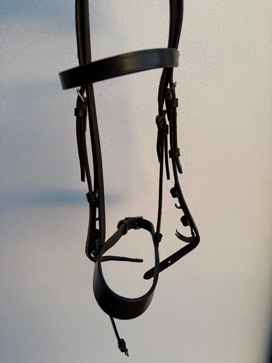 Pony Bridle, Pony Rug 4’ 6’’, - Image 2
