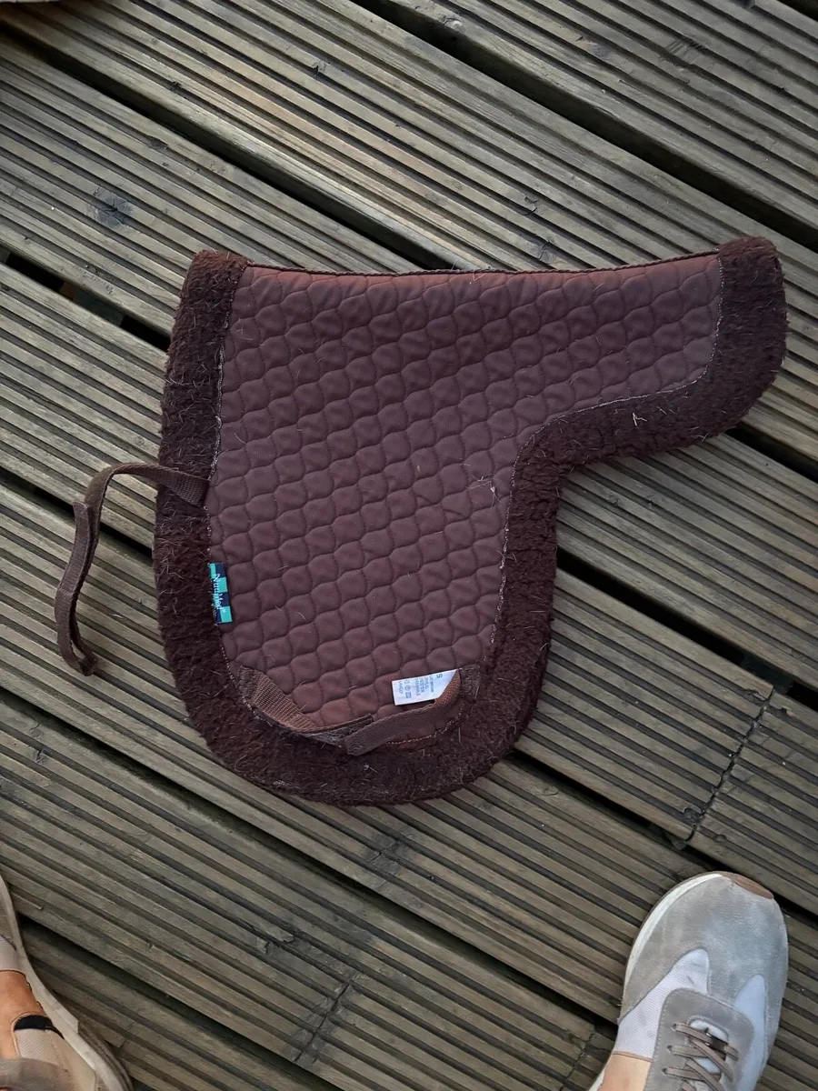 Pony Bridle, Pony Rug 4’ 6’’, - Image 4