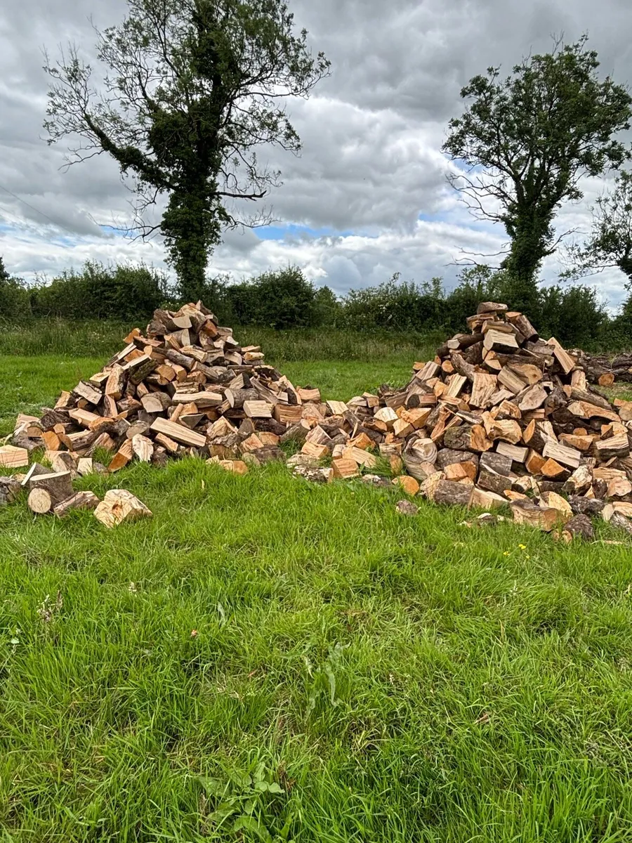 Timber - Image 2