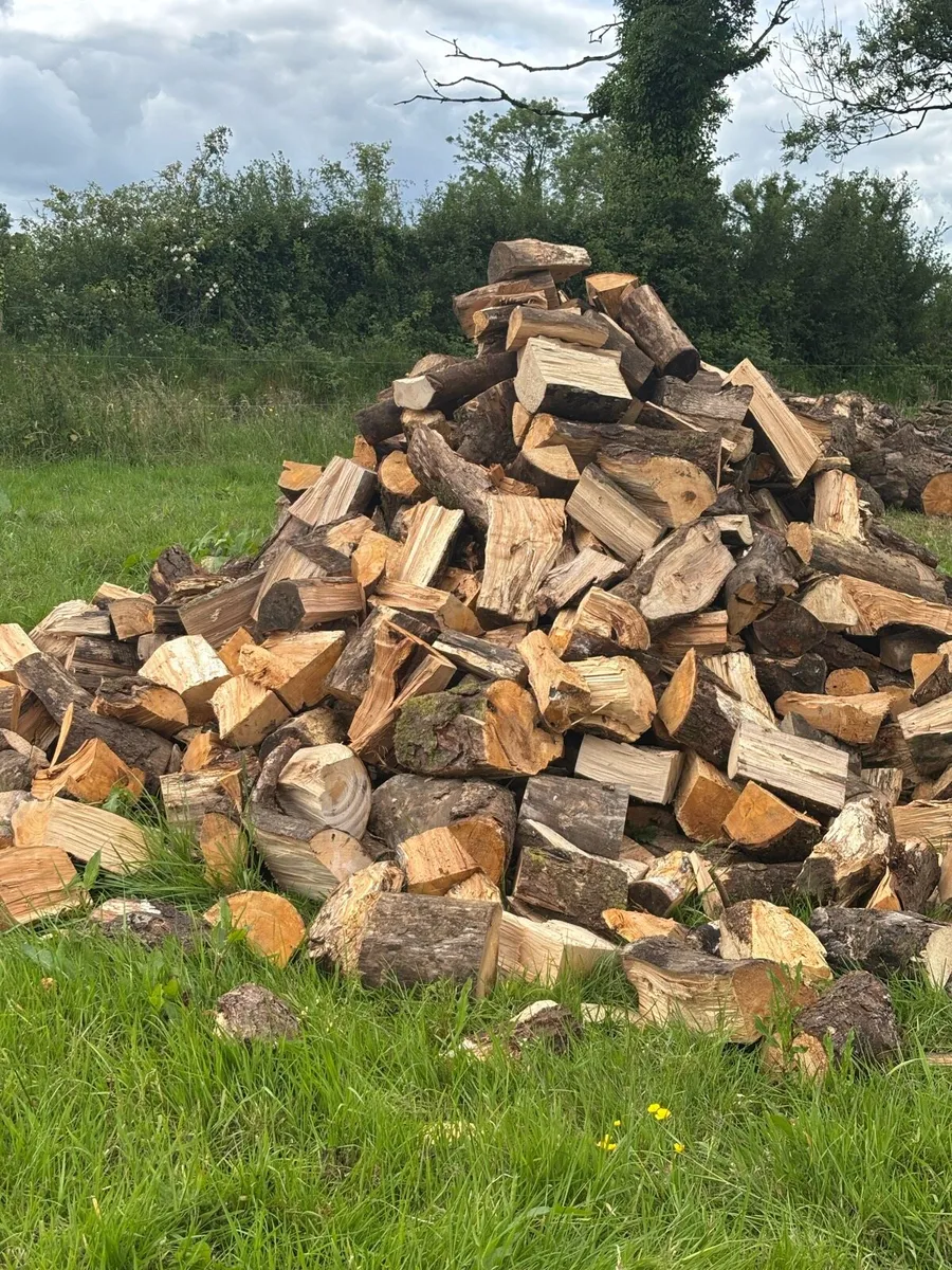 Timber - Image 1