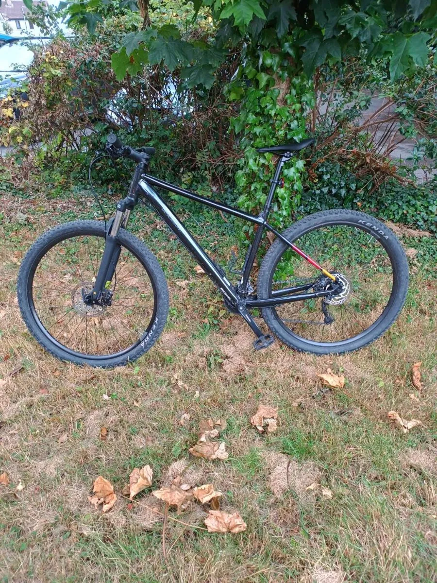 MTB bicycle Bergamot revox 4 mint condition - Image 1