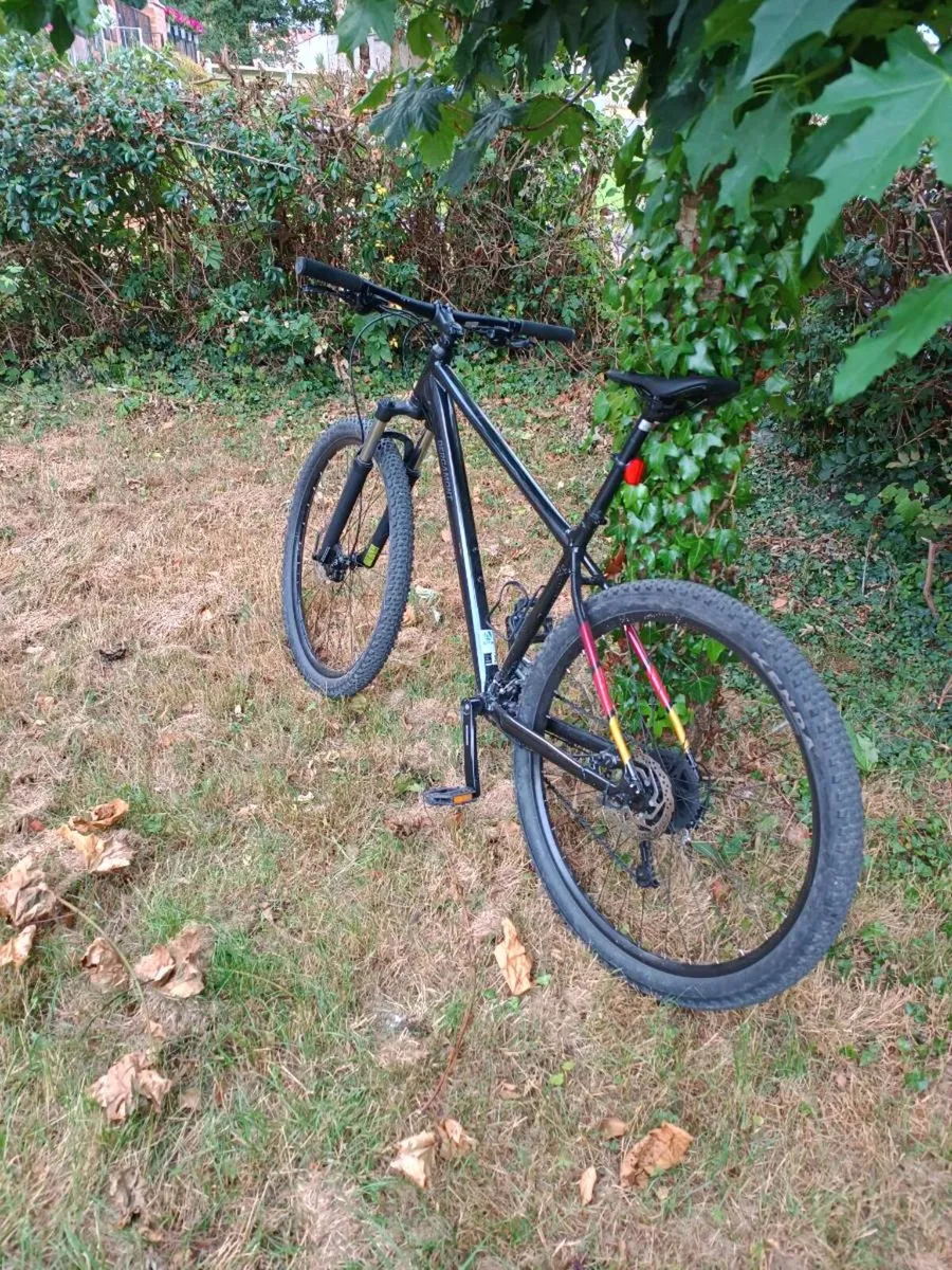 MTB bicycle Bergamot revox 4 mint condition - Image 2