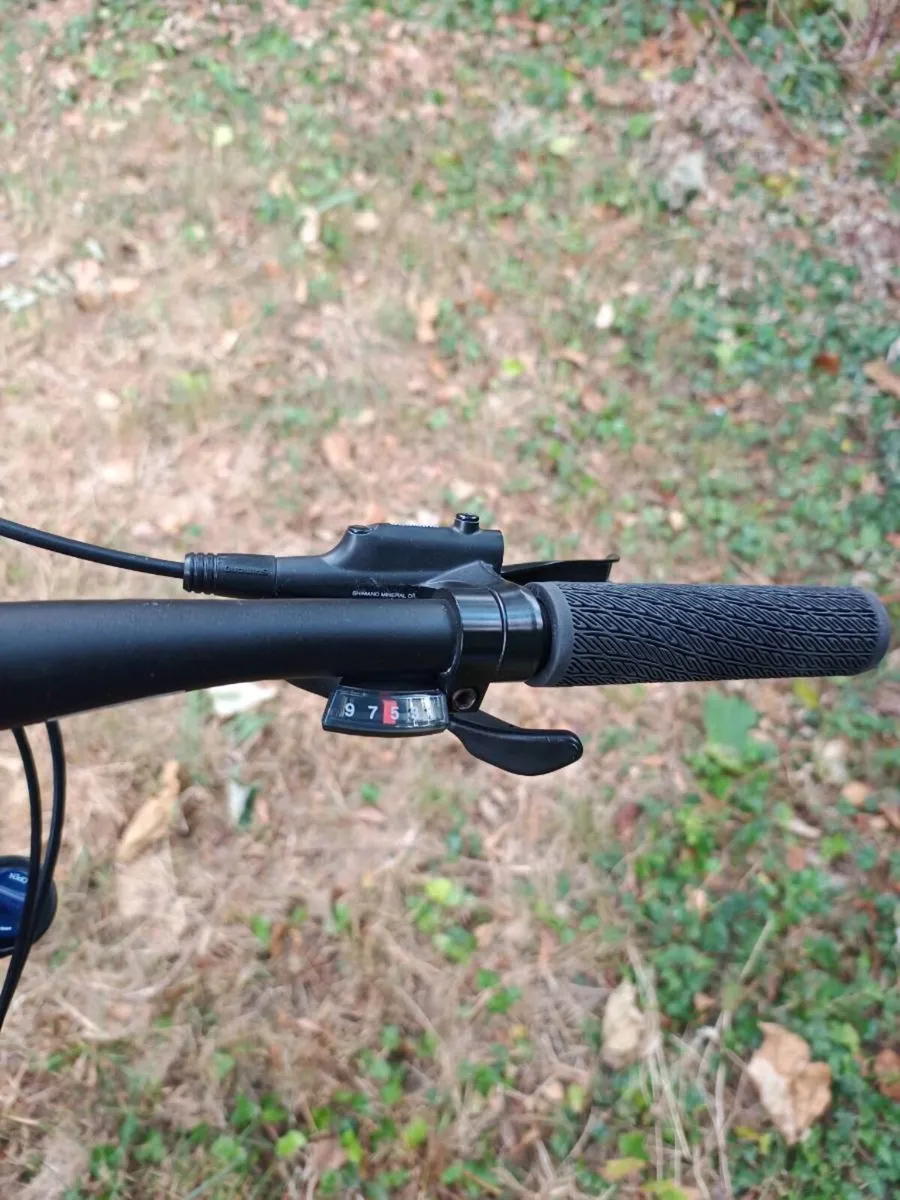 MTB bicycle Bergamot revox 4 mint condition - Image 3