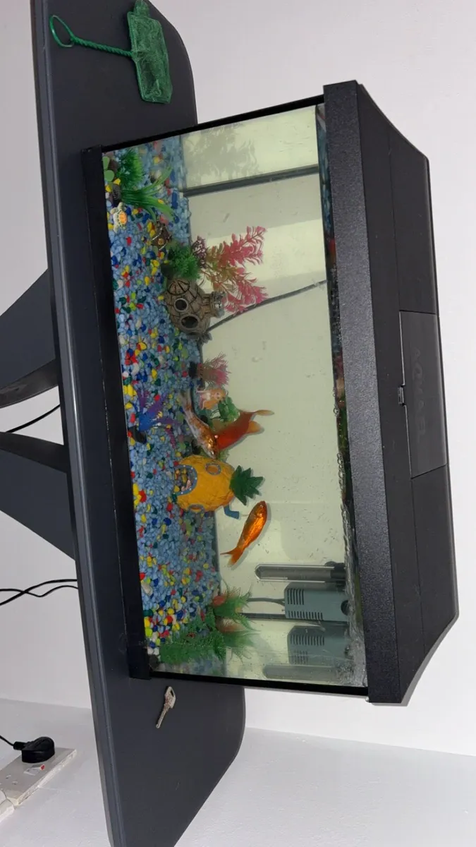 Fish tank