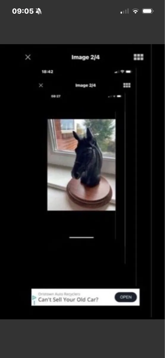 Vintage Horse Head Display - Image 4