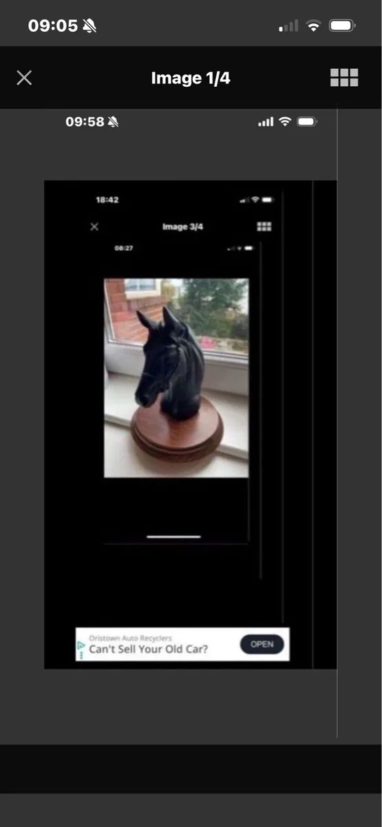 Vintage Horse Head Display - Image 1