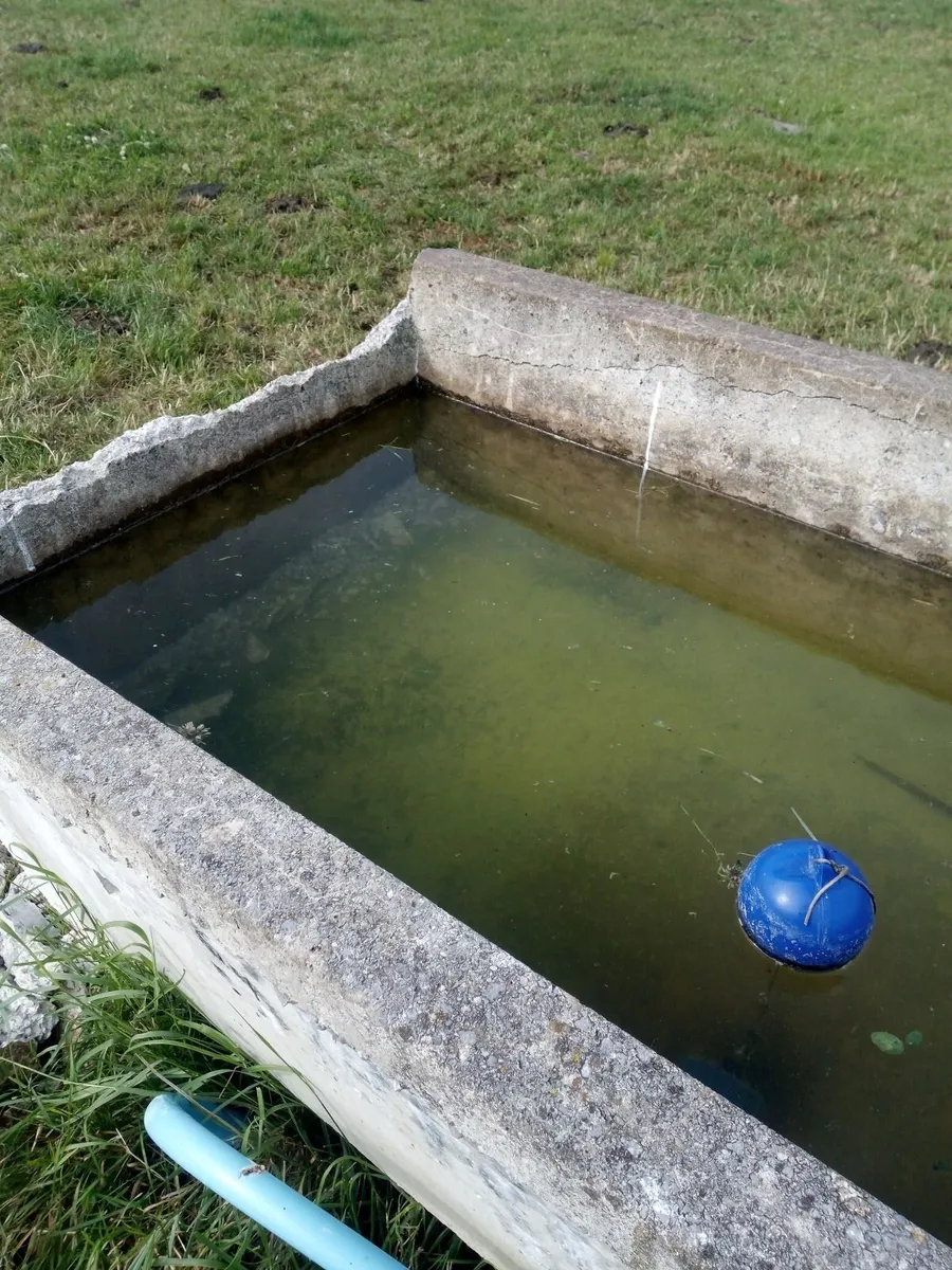 Concrete Water Troughs - Image 4