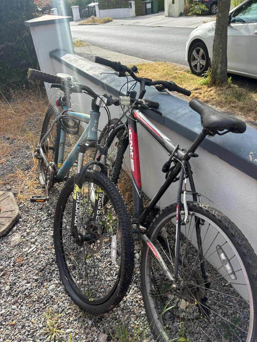 Free Bikes - Image 1