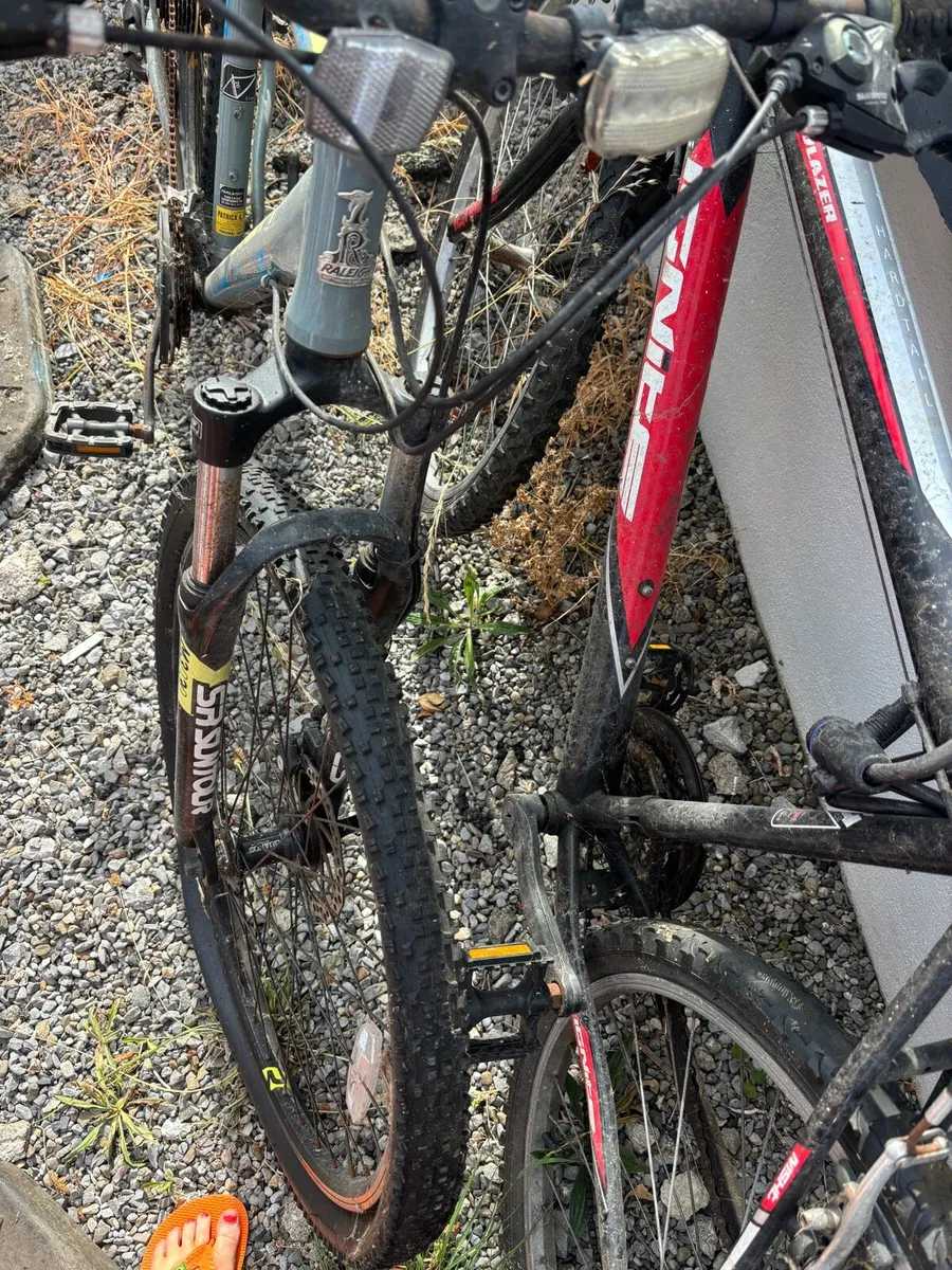 Free Bikes - Image 2