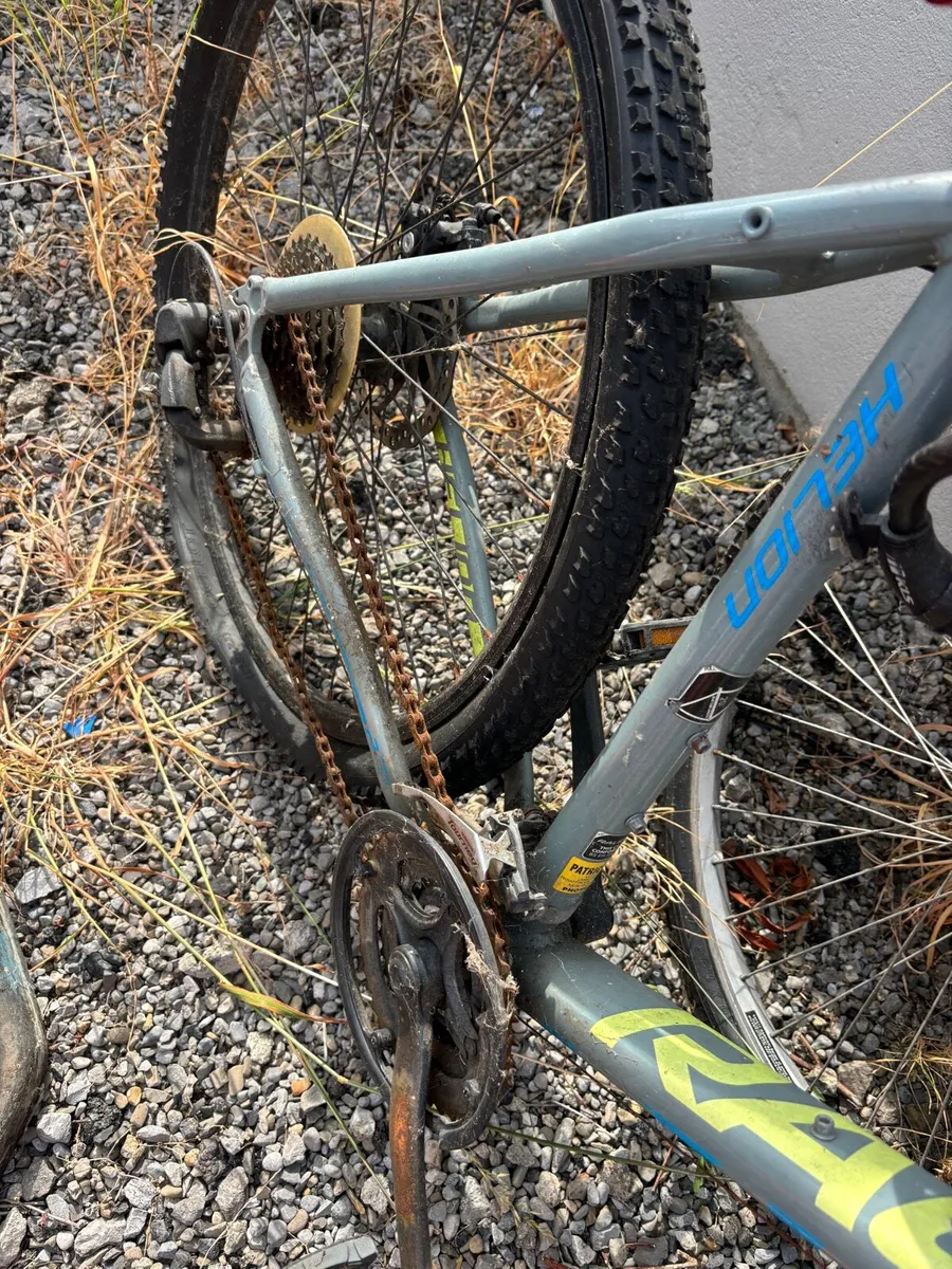 Free Bikes - Image 3