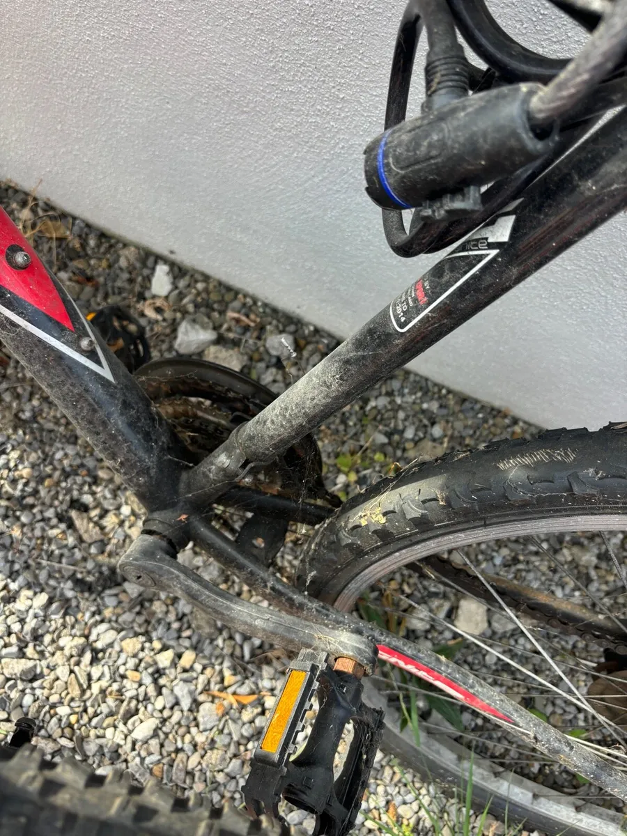 Free Bikes - Image 4