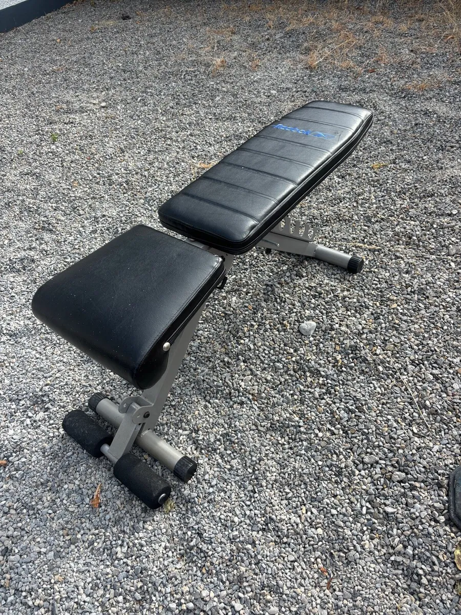 Free Weights Bench