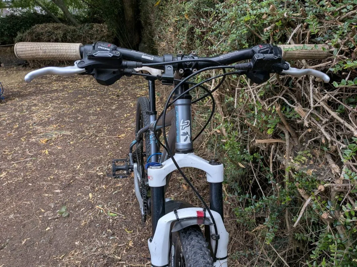 Lapierre bicycle - Image 3
