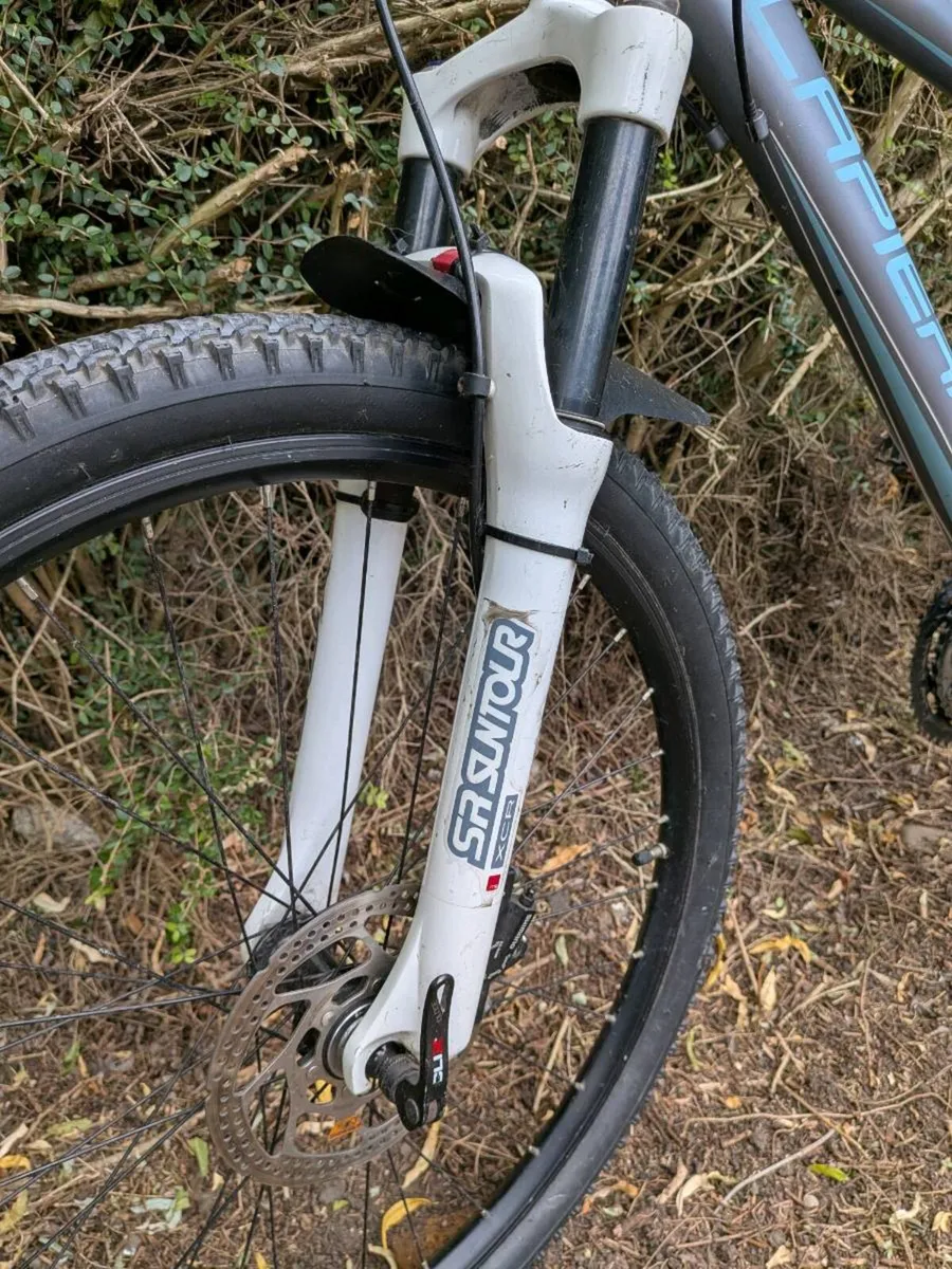 Lapierre bicycle - Image 4