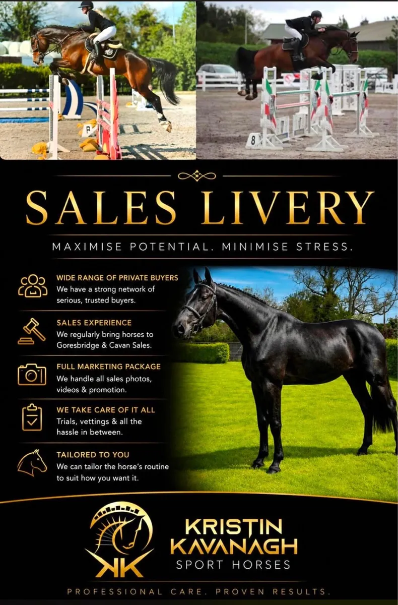 Sales Livery - Image 1