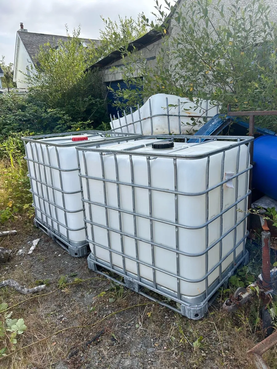 Yard clear out - Image 3