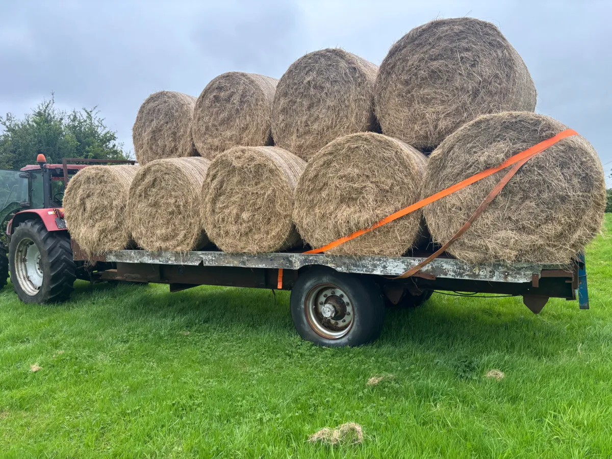 Tractor Bale / Flat trailer - Image 3