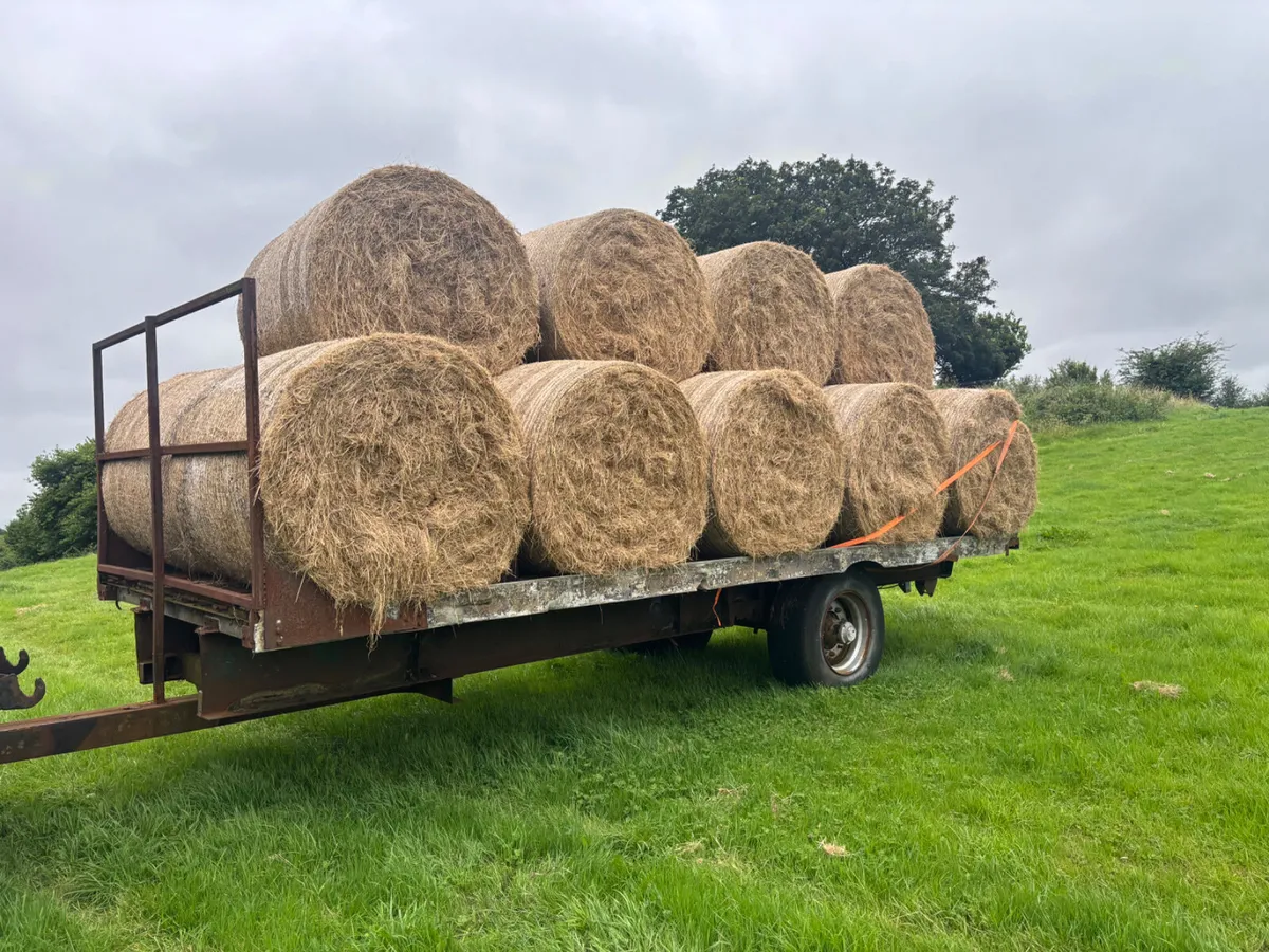 Tractor Bale / Flat trailer - Image 2