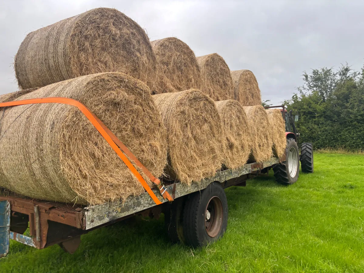 Tractor Bale / Flat trailer - Image 4