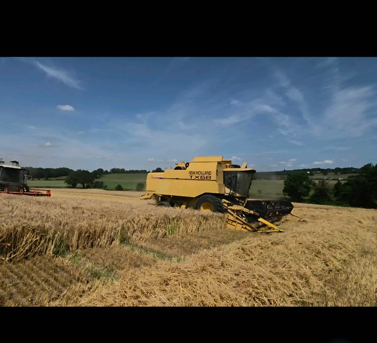1999 New holland TX 68 - Image 1