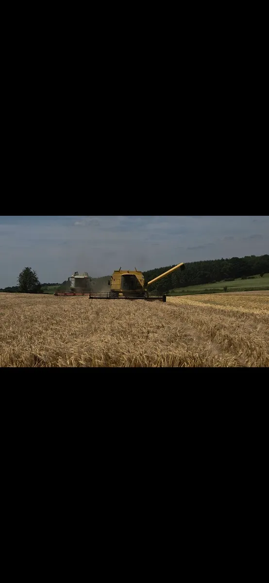 1999 New holland TX 68 - Image 2