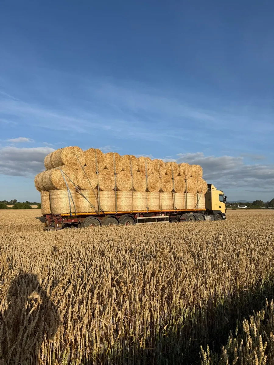 4x4 round bales barley - Image 2