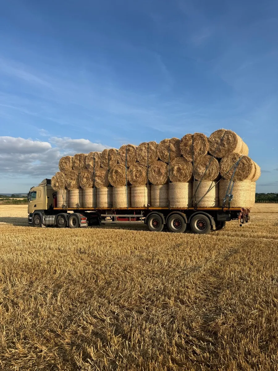 4x4 round bales barley - Image 3