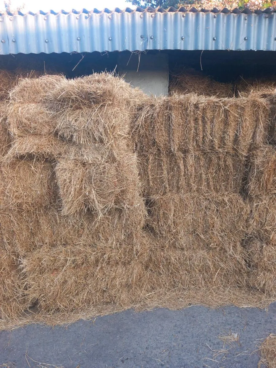 295 Small square bales of hay - Image 2