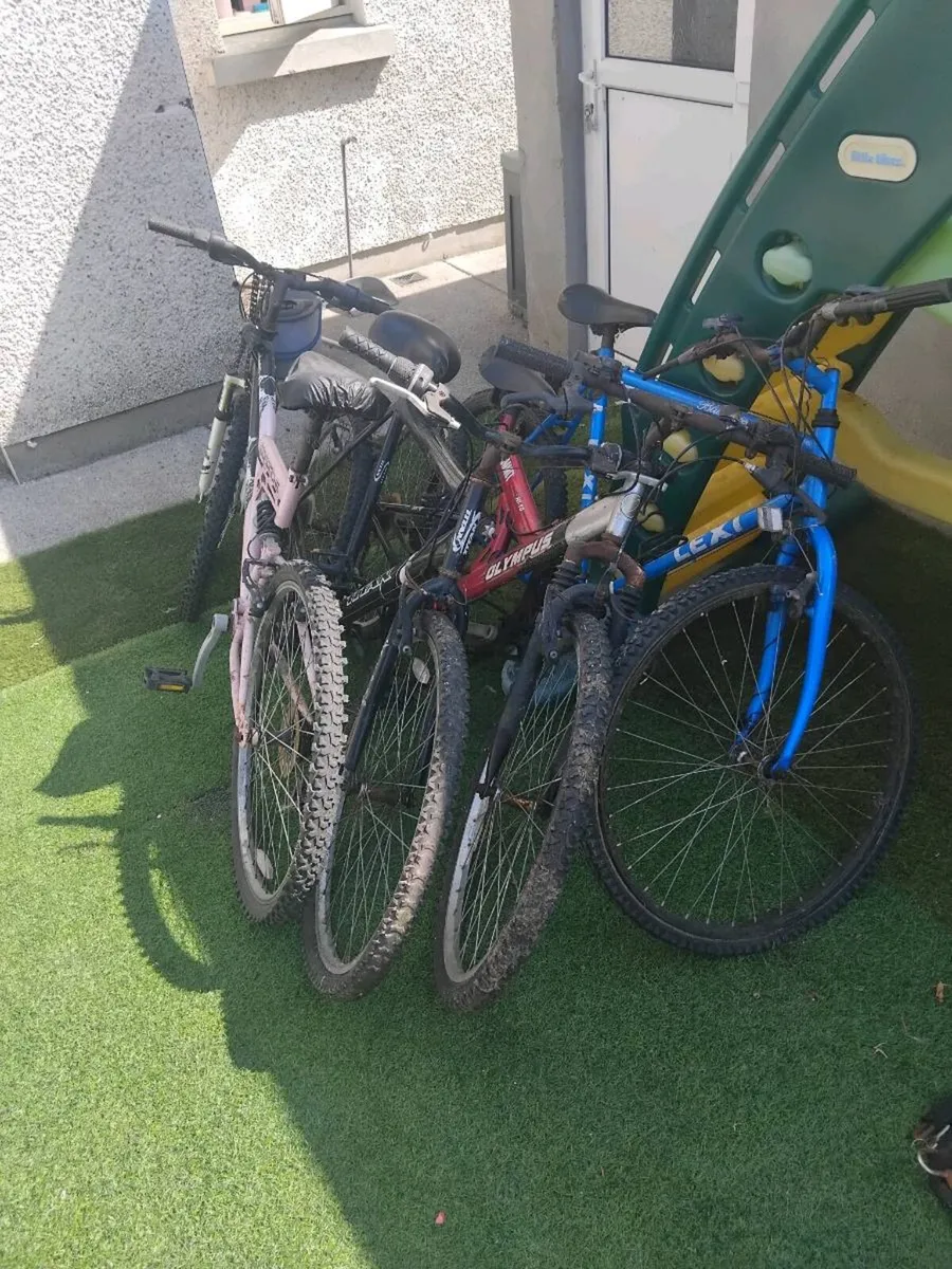 4 bikes - Image 2