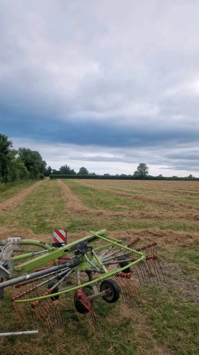 Bedding - Image 1
