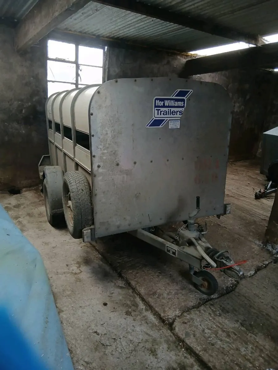 Sheep calf trailer - Image 1