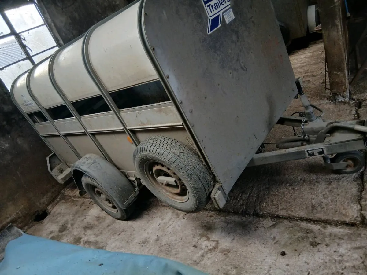 Sheep calf trailer - Image 2