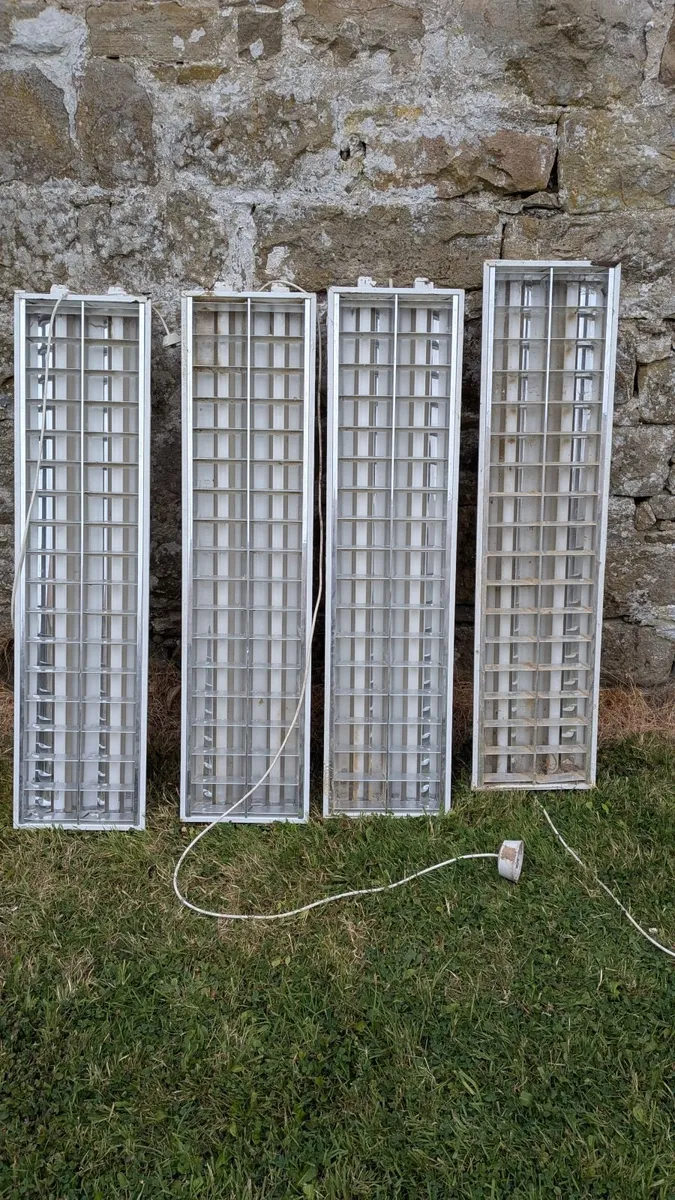Lights - Image 1