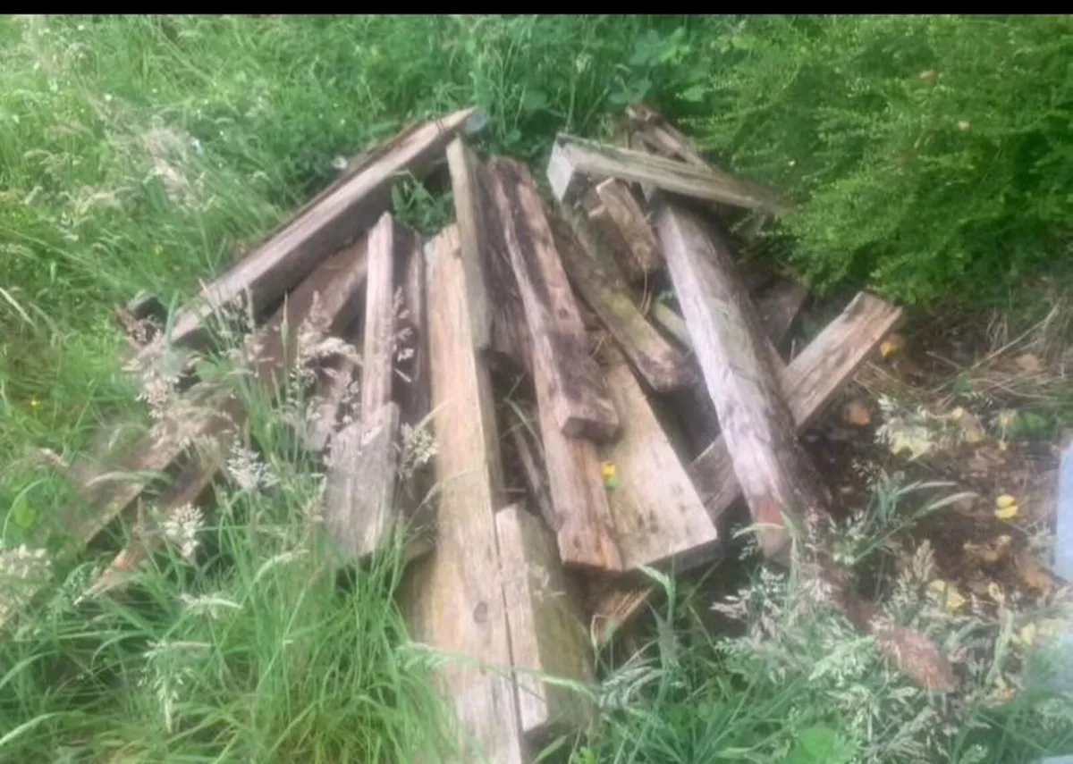FREE FIRE WOOD