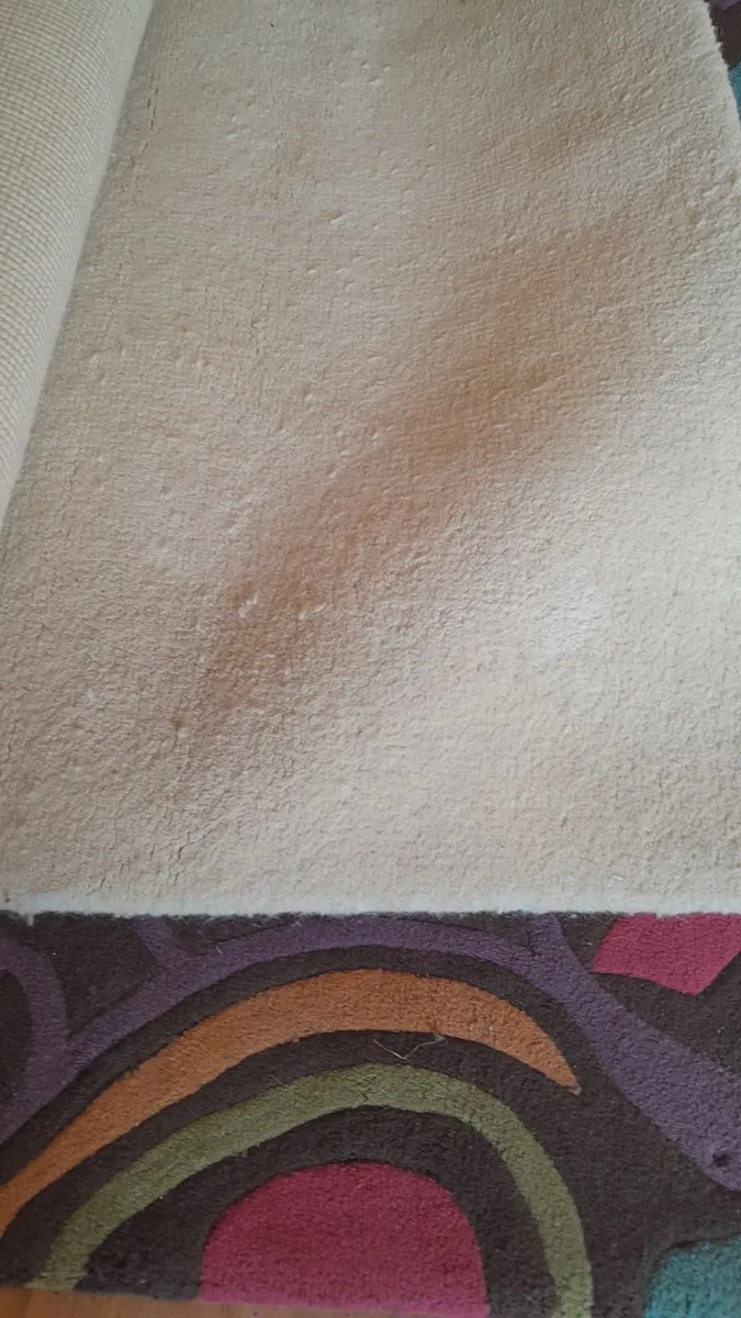 Heavy Pure wool 9ft x 9 ft cream rug - Image 3