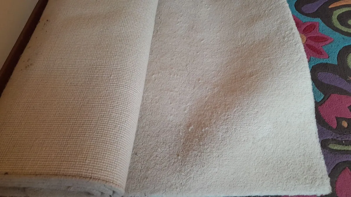 Heavy Pure wool 9ft x 9 ft cream rug - Image 4