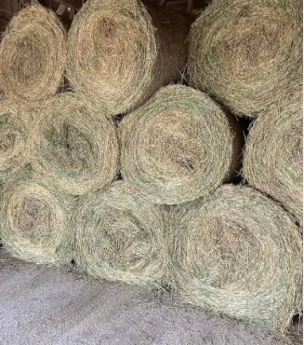 Round bales of hay