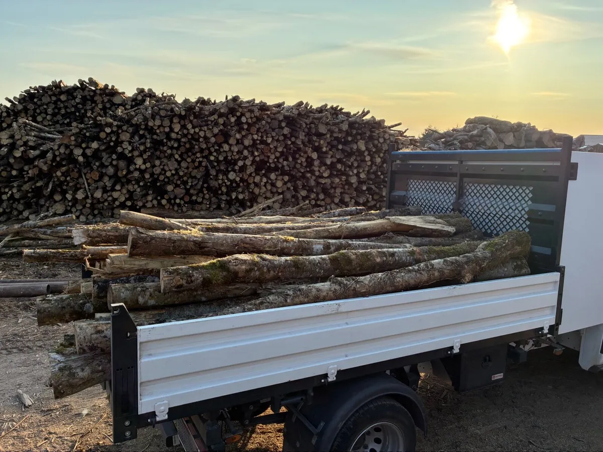 Firewood - Image 1