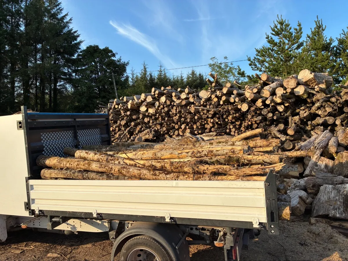 Firewood - Image 2