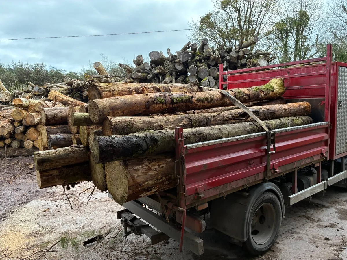 Firewood - Image 4