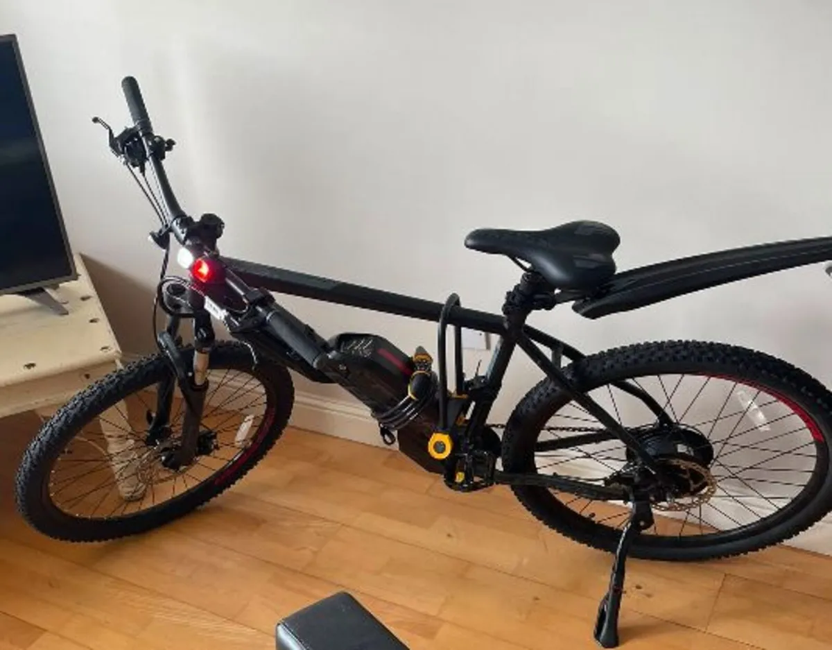 Electric Bicycle - Image 1